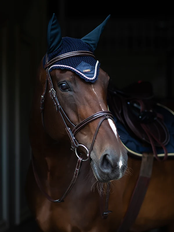 Cuffia Per Cavallo Royal Classic Equestrian Stockholm
