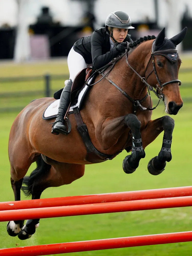 Cuffia Per Cavallo Soundless Modern Dark Ocean Equestrian Stockholm