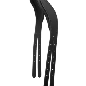 Equitus Headpiece C