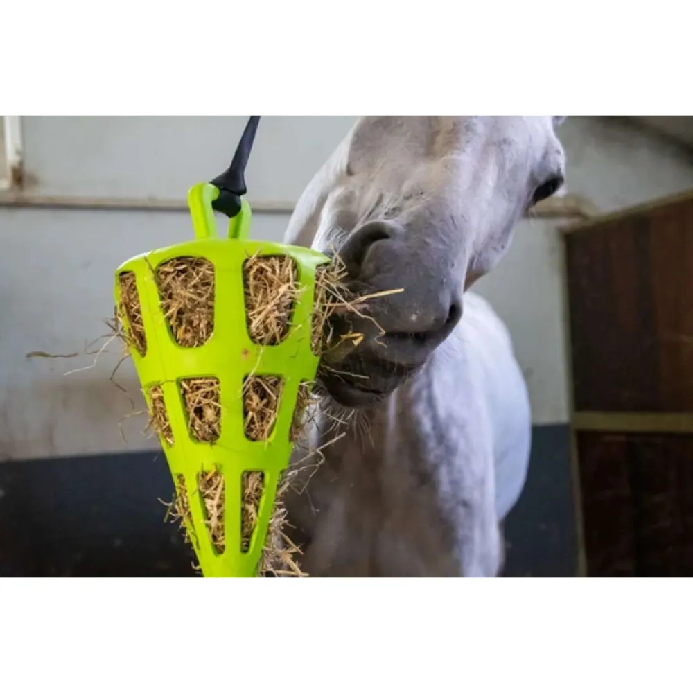 Excellent Slowfeeder Fun and Flex Carota Verde