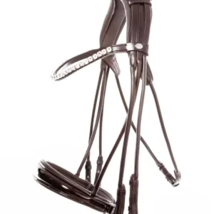 Fleur briglia doppia Brown-Patent/Brown C