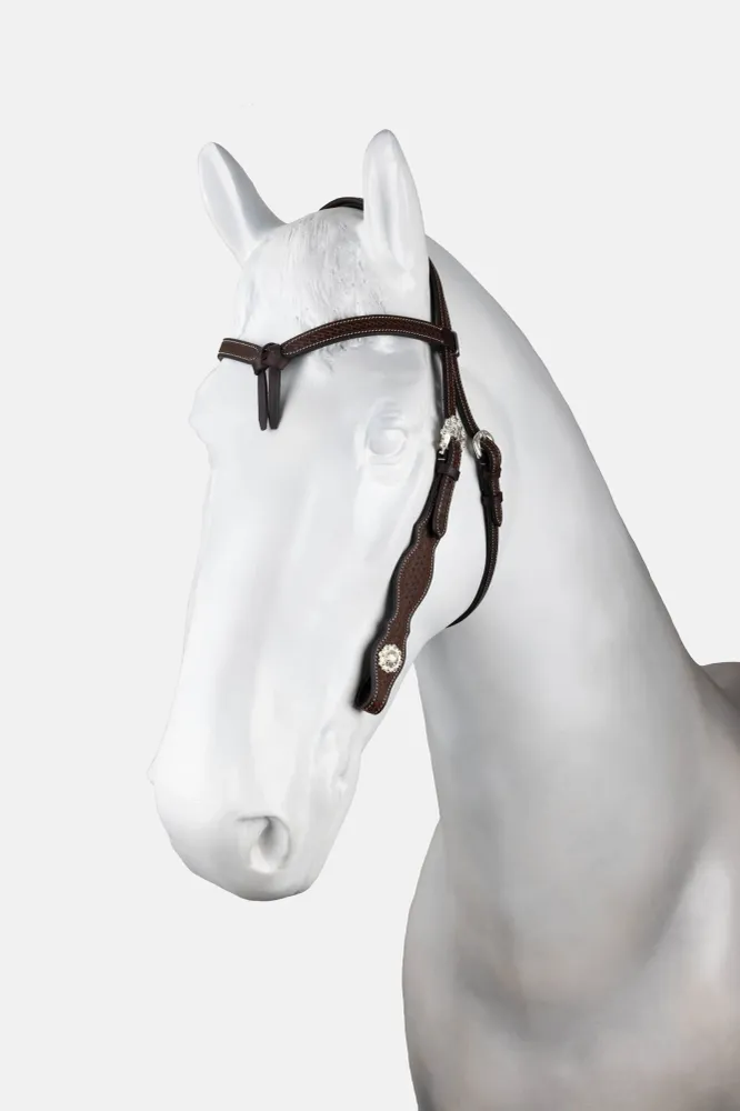 Futurity testiera western con cavezza annodata e conchos Brown C