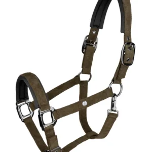 St. Gallen Halter Green Brown C