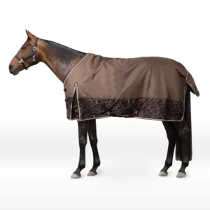 Glasgow coperta da paddock, 100g Choclate Plum 125