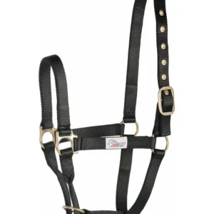 Headcollar del controllore del cavallo di Harry Black C