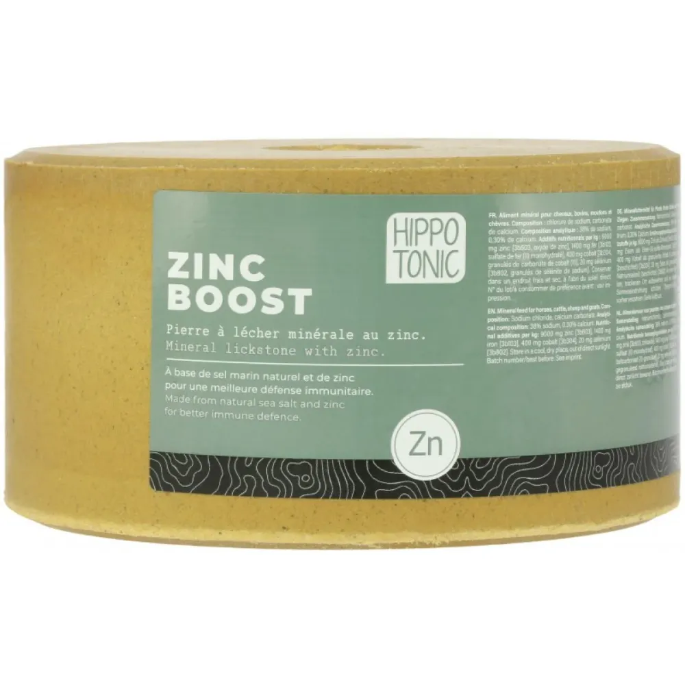Hippotonic Pietra da Leccare Zincboost Block