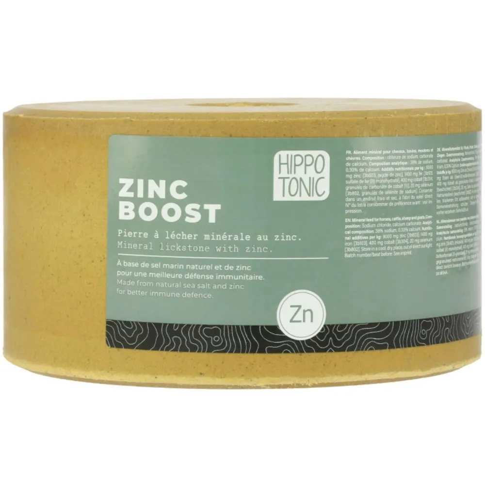 Hippotonic Pietra da Leccare Zincboost Block