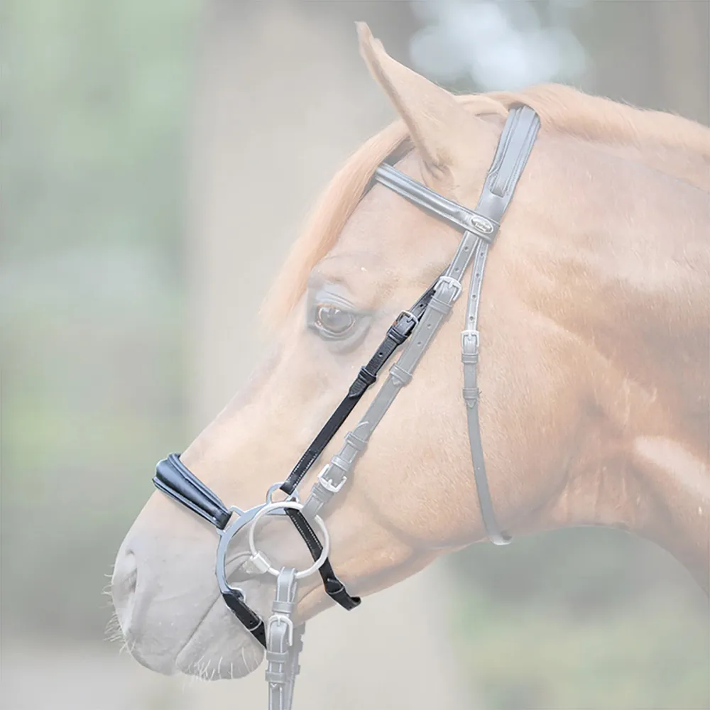 Iron noseband F