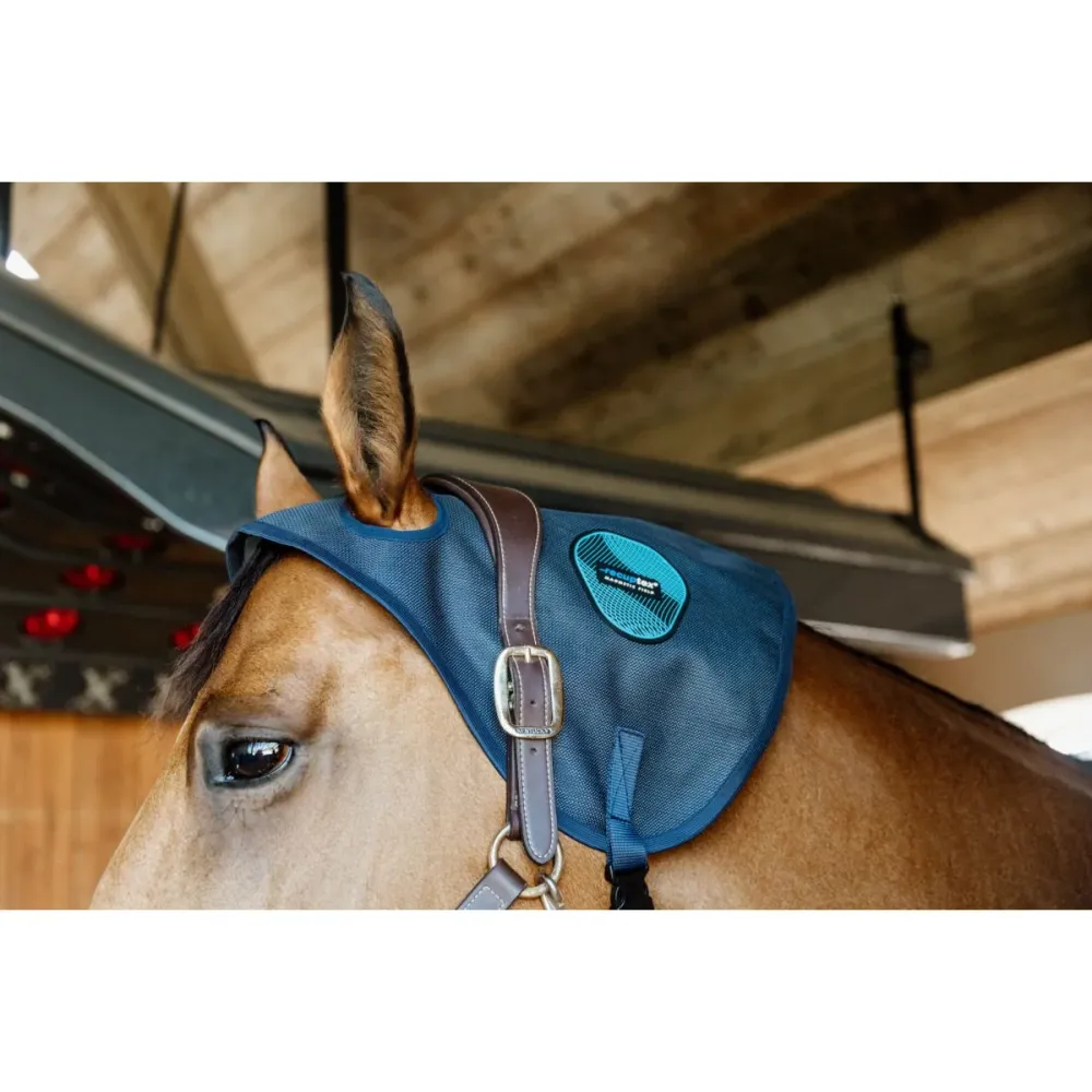 Kentucky Collare magnetico Recuptex Blu