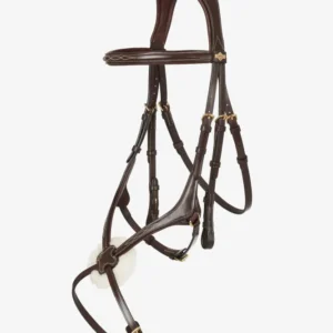 Kudos Briglia Grackle Havana Brown F