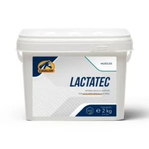 Lactatec, Per i Muscoli, 2kg No Color 2