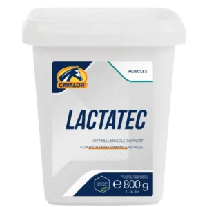 Lactatec, Per i Muscoli, 800 g No Color 800