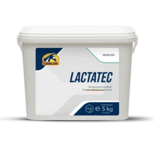 Lactatec Polvere, Per i Muscoli, 5kg No Color 5