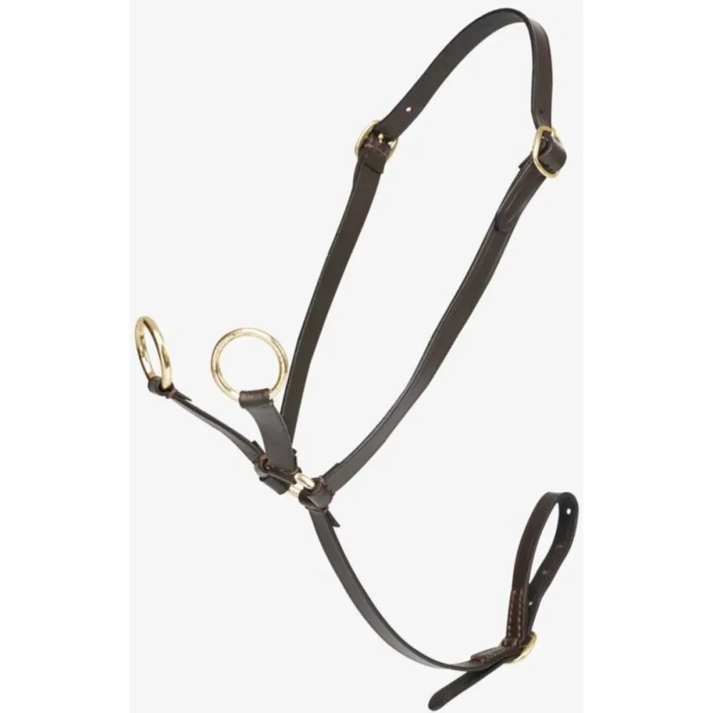 LeMieux Martingala Toy Pony Marrone