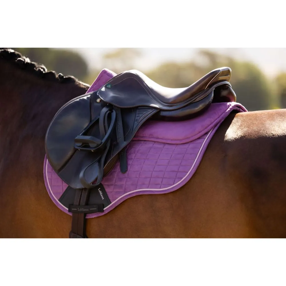 LeMieux Sottosella Suede Mallow