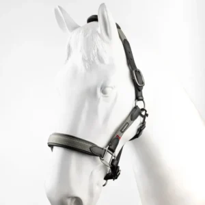Lennox capezza pelle Chimera F