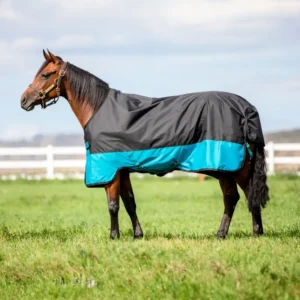 Mio coperta da turnout leggera, 200 g Black/Turquoise Blue 75