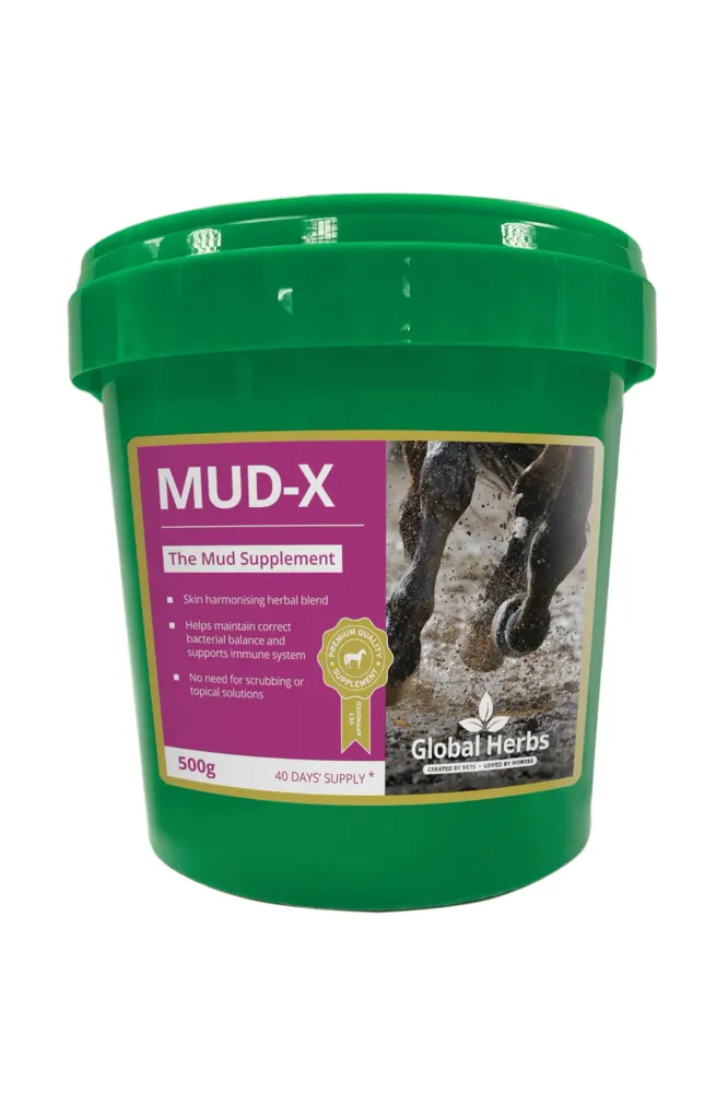 Mud-X 500g No Color 500