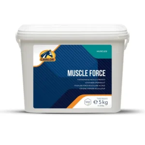 Muscle Force, muscoli e tendini, 5 kg No Color 1