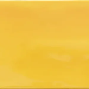 Caribe Sun 20x50 Paul Ceramiche