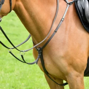 Pettorale Classic 3 punti con martingala scorrevole Brown C