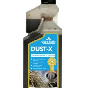 Polvere-X Liq 1LTR No Color 1