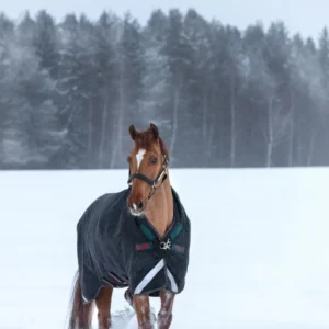 Rambo Wug Coperta da turnout pesante, 400 gr 145