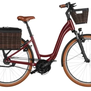 Riese & Muller Swing4 Vario (2025)