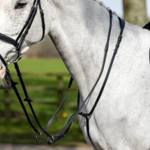 Running Martingale Black C