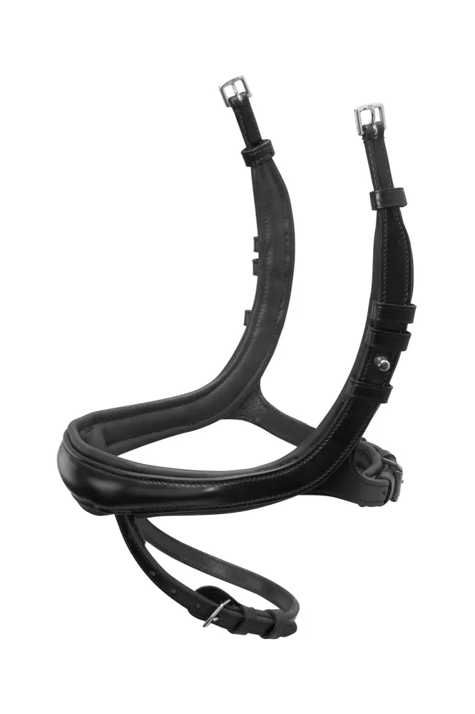 Schockemöhle Equitus Beta Noseband F