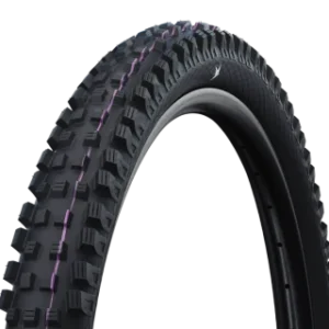 SCHWALBE MAGIC MARY 29x2.50 GRAVITY PRO ADDIX ULTRASOFT RADIAL Copertone Tubeless Ready Soft