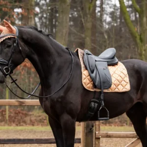 Showtime Sottosella Rio Dressage Beige