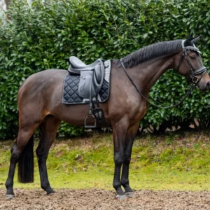 Showtime Sottosella Rio Dressage Nero
