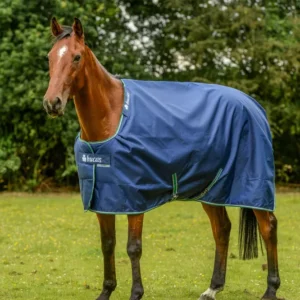 Smartex Coperta Extra da 300g Blue/White 115