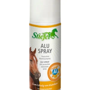Spray alluminio No Color 200