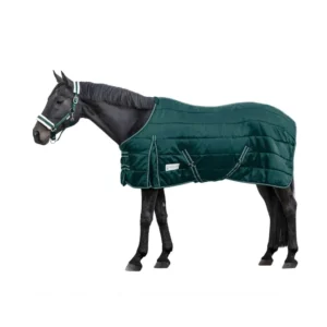 Stable rug Economic 200 g Fir Green 125