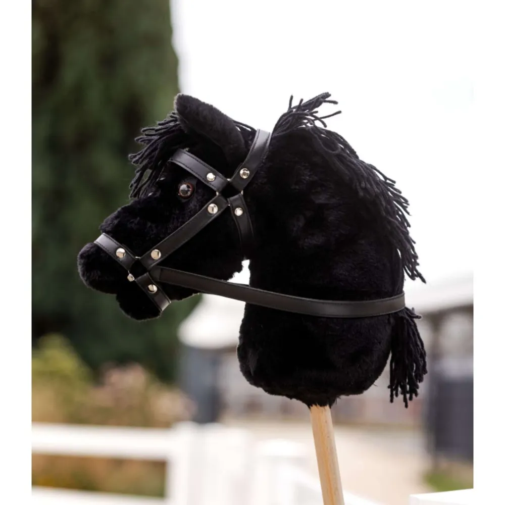 Waldhausen Cavallo da hobby Blacky