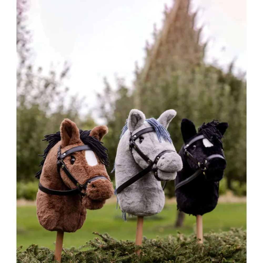 Waldhausen Cavallo da hobby Blacky