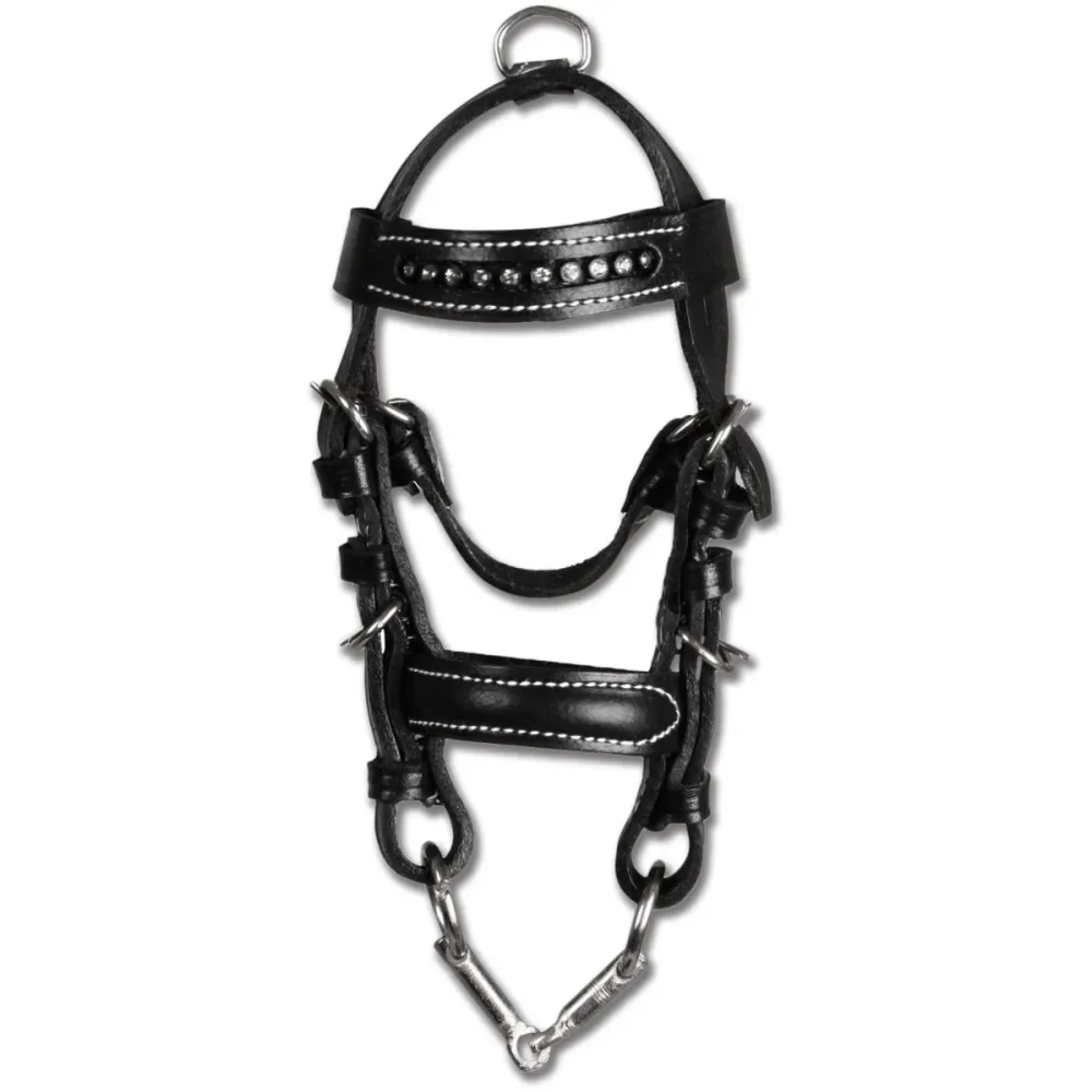 Waldhausen Mini Bridone