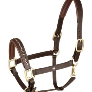 X-Line Crystal Cavezza pelle Brown/Gold P