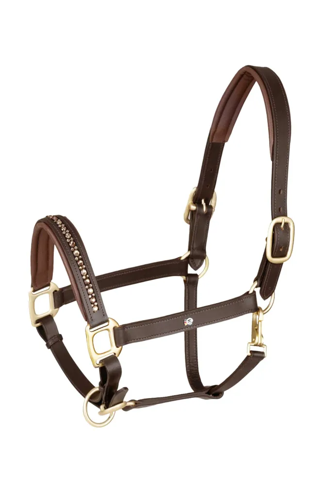 X-Line Crystal Cavezza pelle Brown/Gold P